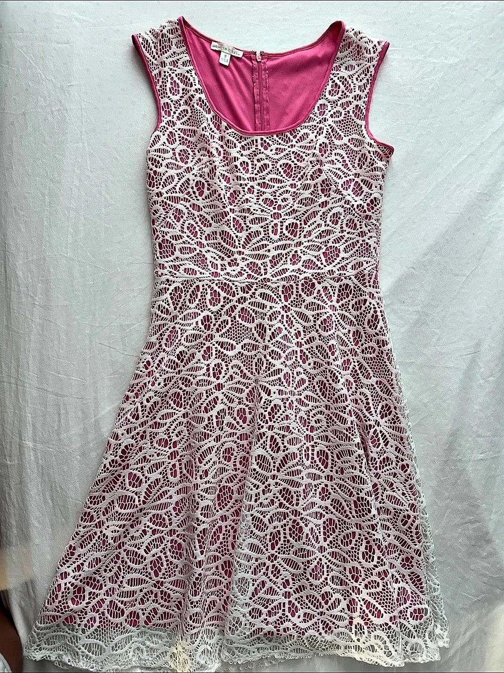 London Times Pink and White Lace Overlay Fit and Flare Dress Pink & White Lace